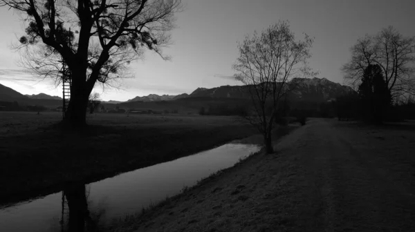 水の反射と冬の風景の中に川の後ろの木にもたれてはしご黒と白の背景に山 — ストック写真