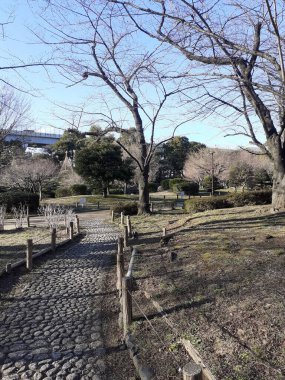 Tokyo 'daki Oyokogawa Shinsui Parkı.