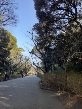 Ueno Park Tokyo Japonya