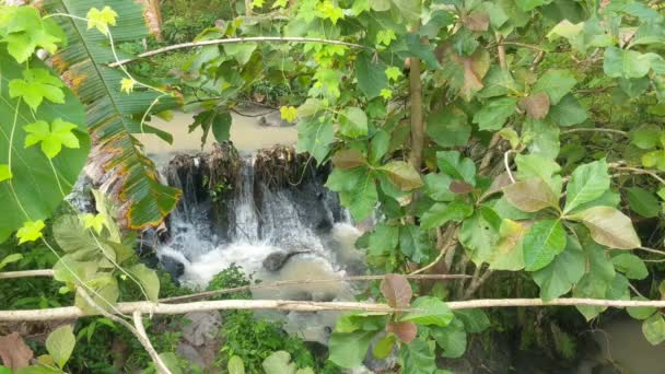 Вода Течет Реке Которая Образует Небольшой Водопад Среди Тенистых Деревьев — стоковое видео