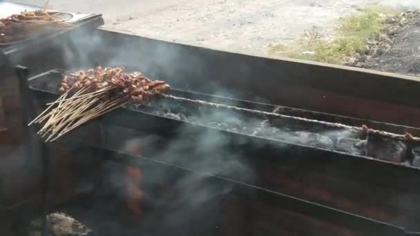 Κοτόπουλο Satay Ψήνεται Σχάρα Στην Οποία Υπάρχει Κάρβουνο Για Κάψει — Αρχείο Βίντεο