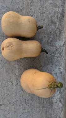 Kelebek ezmesi izole beton zemin arka planı.