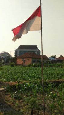 Endonezya bayrağı, kırmızı ve beyaz bir bicolor, açık mavi gökyüzüne karşı bambu direğinden dalgalanıyor. Bayrak rüzgarda hafifçe dalgalanıyor. Bina arka planda görünür..