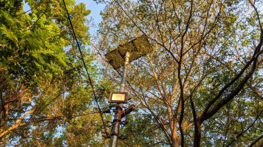 Etrafında yemyeşil ağaçlar olan bir parkta metal bir sokak lambası uzun duruyor. Elektrik direğinin tepesinde bir güneş paneli var ve yanında çalışan elektrik kabloları var..