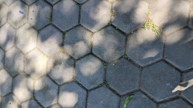 Altıgen beton bloklarla döşenmiş kaldırıma yakın çekim, aralarında büyüyen çimenleri ve benekli güneş ışığını gösteriyor.