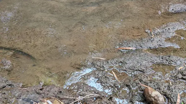 Çamurlu, bulanık nehir suyuna yakın, görünür dalgalar ve molozlar, ıslak, koyu kahverengi, desenli çamur tabakasının yanında akıyor..