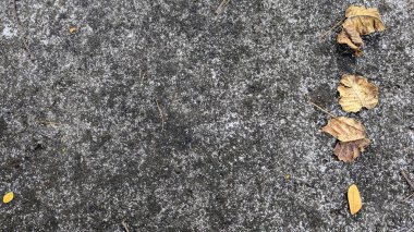 Dağılmış kuru sonbahar yaprakları ve dalları ile yıpranmış, gri beton bir yüzey, doğal, dokulu bir arka plan sunuyor..