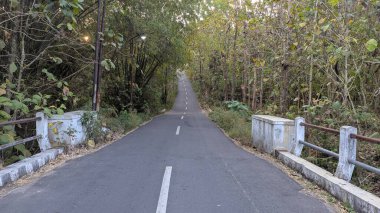 Beton bariyerlerle çevrili ve yoğun ağaçlarla çevrili sakin bir asfalt yol, izleyiciye Endonezya 'nın huzurlu ormanlarında rehberlik ediyor..