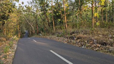 Dolambaçlı asfalt bir yol Endonezya 'da sık bir ormanın içinden geçer, altın güneş ışığıyla yıkanır, kuru yapraklar yere saçılır, sakin ve doğal bir yol yaratır..