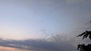 Berrak maviden yumuşak pastellere, dalgalı bulutlardan oluşan bir şerit ve sağda siluetli bir ağaç ile sakin bir şafak manzarası yaratan sakin bir gökyüzü..