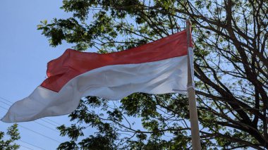 Endonezya bayrağı (Merah Putih) açık mavi gökyüzüne karşı gururla dalgalanır, arka planda yemyeşil ağaçlar vardır, Bağımsızlık Günü yaklaşırken ulusal gururu sembolize eder..