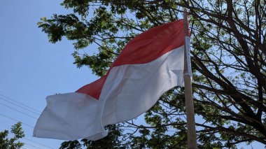 Endonezya bayrağı (Merah Putih), bereketli yeşil yapraklar ve ağaç dalları ile çerçevelenmiş, açık mavi gökyüzüne karşı gururla dalgalanır..