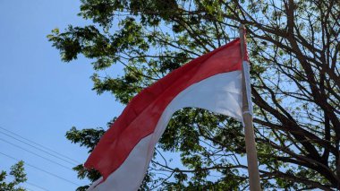 Endonezya bayrağı (Merah Putih), Bağımsızlık Günü öncesinde ulusal ruhu simgeleyen yeşil ağaç dalları tarafından çerçevelenmiş parlak mavi gökyüzüne karşı gururla dalgalanıyor..