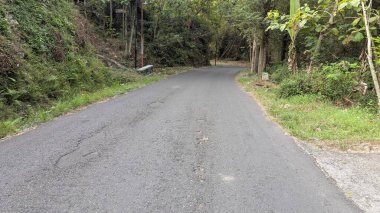 Yoğun, yeşil bir ormanın içinden geçen dar asfalt bir yolun yatay görüntüsü. Yol uzaklığa doğru kıvrılır ve ağaçlar ve aşırı büyümüş yapraklar tarafından çevrelenir..