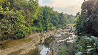 Sığ, çamurlu bir nehrin yemyeşil bir ormandan geçişinin yatay görüntüsü. Nehir yatağı, küçük su havuzlarıyla kurumuş çamur ve kayaların bir karışımıdır ve yoğun yapraklarla çevrilidir..