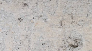 Yıpranmış beton duvarın yüksek çözünürlüklü yakın çekimi. Yüzey ince çatlaklar, ince renk değişimleri ve toprak ve küfün koyu lekeleri ile desenli. Yaşı ve elementlere maruz kaldığını gösteriyor..