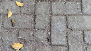 Birbirine kenetlenmiş, dikdörtgen bloklardan oluşan gri beton bir yüzey. Asfaltta görünür çatlaklar var ve sarı, kahverengi yapraklar ve toprakla kaplanmış doğal bir kentsel doku yaratıyor..