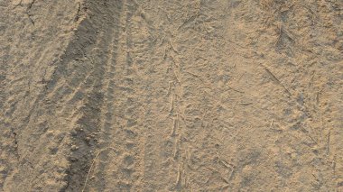 Üzerinde tek bir çapraz lastik izi olan kumlu bir yüzey. Toprağın dokusu pürüzlü ve tanecikli. Yüzeye saçılmış birkaç küçük kuru ot filizi var..