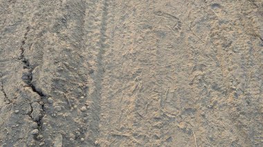 Kum yüzeyi, sol tarafı boyunca uzanan derin bir çatlak. Toprağın dokusu pürüzlü ve kumlu, dağınık çakıl taşları ve kuru otlar doğal ve dokulu bir arka plan oluşturuyor..