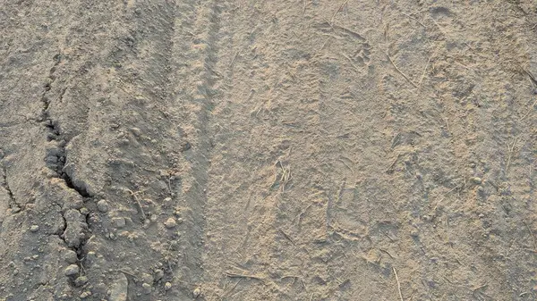 Kum yüzeyi, sol tarafı boyunca uzanan derin bir çatlak. Toprağın dokusu pürüzlü ve kumlu, dağınık çakıl taşları ve kuru otlar doğal ve dokulu bir arka plan oluşturuyor..
