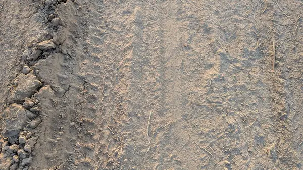 Sağında ince, tozlu toprak ve solunda çatlamış, daha büyük toprak kütleleri olan kuru bir zemin. Işık gölgeler oluşturur, düz olmayan yüzeyi aydınlatır..