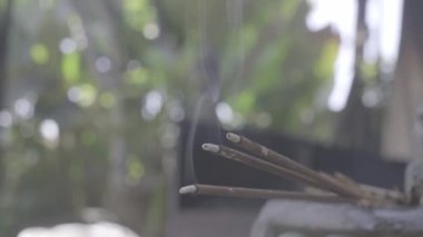 Balili tütsüsü sabah Bokeh ile yanarken çekilmiş video görüntüleri.