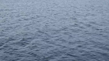 Mavi denizdeki dingin dalgalar