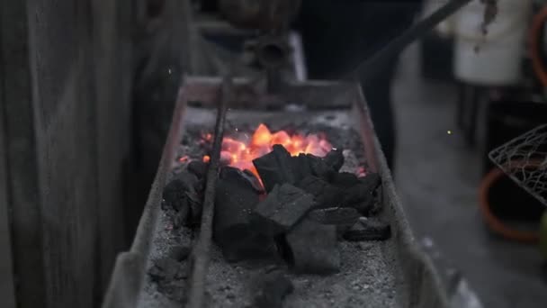 Uma Mão Homens Está Queimando Carvão Para Fazer Peixe Grelhado — Vídeo de Stock