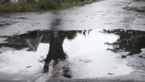 Raindrops Fell Puddles Side Road Leaves Fell Branches — Stock Video