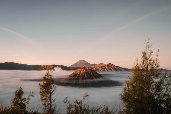 Sunrise at Gunung Bromo or Bromo Mountain which is covered by clouds and Semeru Mountain as the background with clear sky
