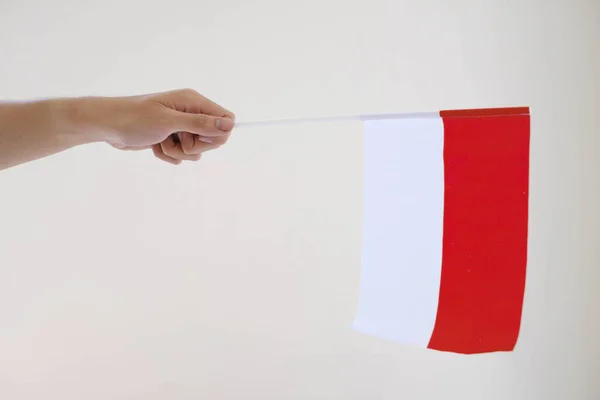 stock image A hand of man wearing white T-Shirt is holding Bendera Indonesia or Indonesian flag confidently. Isolated white background.