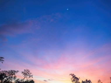 Mavi Saatteki Güzel Mor Günbatımı Gökyüzü dokusu Ağaçlarla