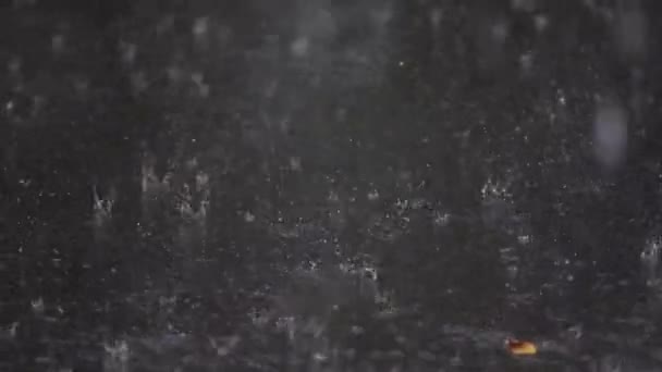 Капли Дождя Падают Землю — стоковое видео