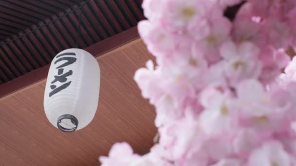 伝統的なランプの装飾と桜の花を持つ和食ラーメンレストラン ランタンの日本語の単語は ラーメン を意味する — ストック動画