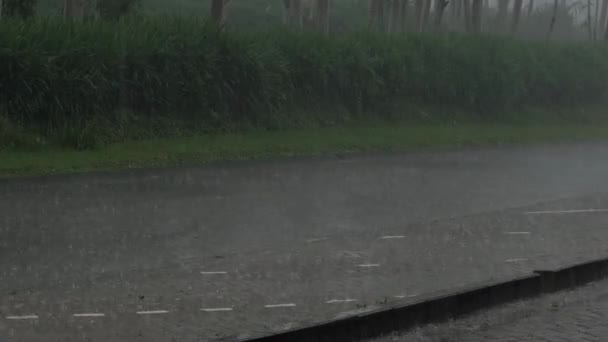 Krople Deszczu Spadają Chodnik Podczas Ulewnego Deszczu Skupienie Selektywne — Wideo stockowe