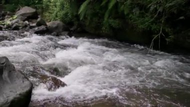 Nehir boyunca yemyeşil yemyeşil sularla çevrili pürüzsüz kayaların üzerinden sular akar.