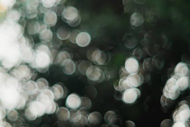 Koyu yeşil arka planda çeşitli boyutlarda ve parlaklıkta çember şeklinde bokeh desenleri oluşturun. Duvar kağıdı veya dijital arkaplan için uygun.