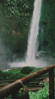 Güzel Coban Pelangi Şelalesi. Doğu Java, Endonezya 'daki tropik şelalelerden biri. Portre ya da dikey çekim. Yavaş çekim. Doğa manzarası video görüntüleri.