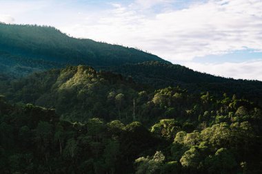 Bereketli yeşil ormanlı bir dağ sırası. Arka plan, duvar kağıdı ve dijital arkaplan için nefes kesici manzara fotoğrafı.
