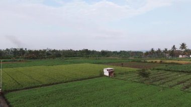 Malang, Doğu Java, Endonezya 'da çeşitli ekin ve palmiye ağaçları bulunan tropikal tarım arazilerinin havadan görünüşü