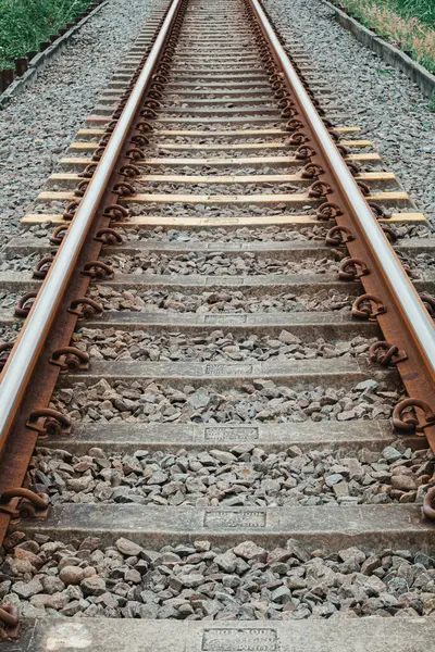 Yan tarafındaki yeşil yapraklarla birlikte uzaktaki eski bir demiryolu hattını kapatın.