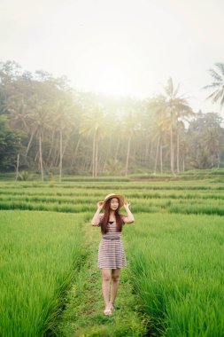 Pamotan, Malang, Doğu Java, Endonezya 'da dingin yeşil pirinç tarlalarında yürüyen genç kadın altın güneş ışığı altında hasır bir şapka takıyor..