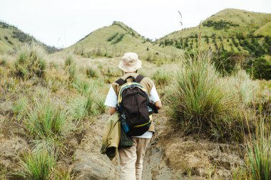 Bromo Çimenli Tepeleri 'nde tek başına yürüyüş yapan genç bir Güneydoğu Asyalı' nın arka görüntüsü, sırt çantası ve ceket taşıyor, yeşil manzarayla çevrili yürüyüş yolu, Doğu Java, Endonezya.