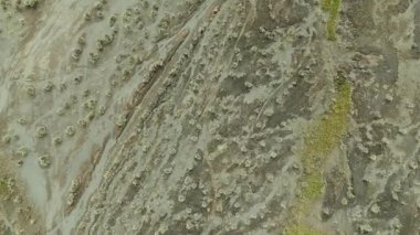 Bromo volkanik yüzeyi, Doğu Java, Endonezya 'nın yeşil tepeler ve geniş bir ovayla çevrelenmiş havadan çekilmiş görüntülerinde gevşek kül, toprak ve seyrek bitki kümeleri görülüyor..