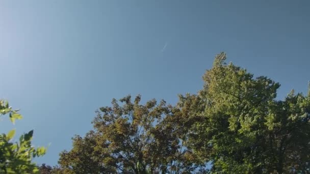 Şehir Merkezindeki Bahçeden Görülen Ağaçların Üzerinden Geçen Uçak — Stok video