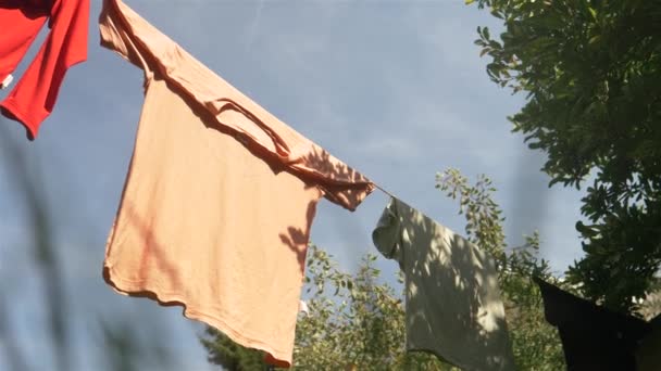 Shirts Suspendus Pour Sécher Sur Ligne Lavage Dans Jardin Pendant — Video