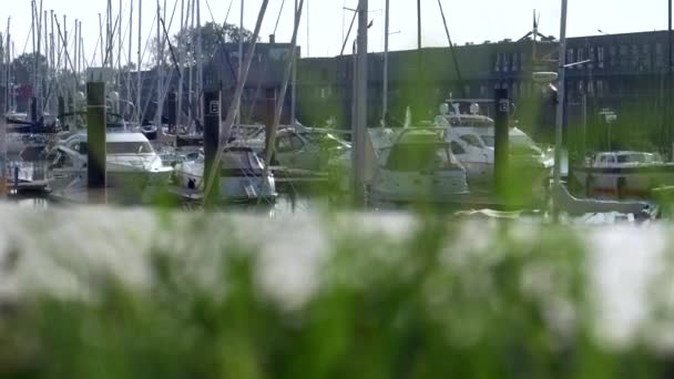 Vue Port Plaisance Avec Voiliers Bateaux Moteur — Video
