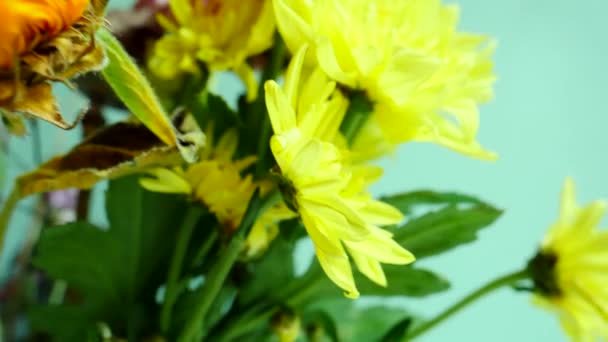 Virágok Tengerparti Ház Ellen Világos Zöld Fal — Stock videók