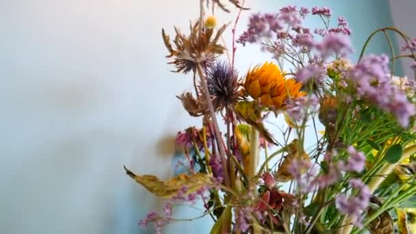 Bunga Rumah Pantai Menghadap Dinding Hijau Muda — Stok Video