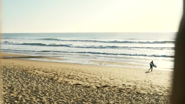 サーフボードをつかんで海を歩くビーチでサーファー — ストック動画